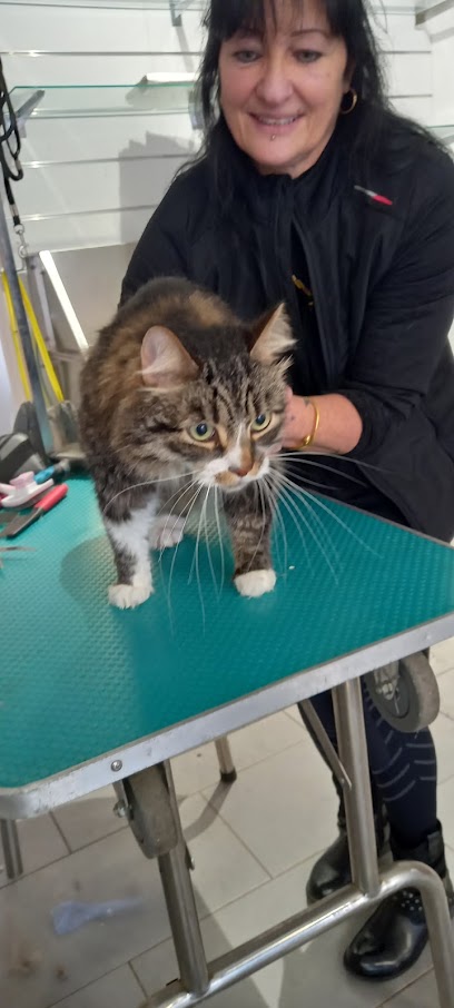 Viz La Beauté Toiletteur Pour Animaux à Vizille