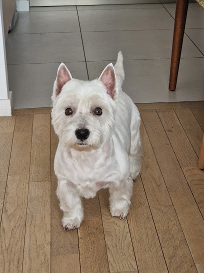 L'espace Canin !!, Toiletteur pour Animaux à Rueil-Malmaison