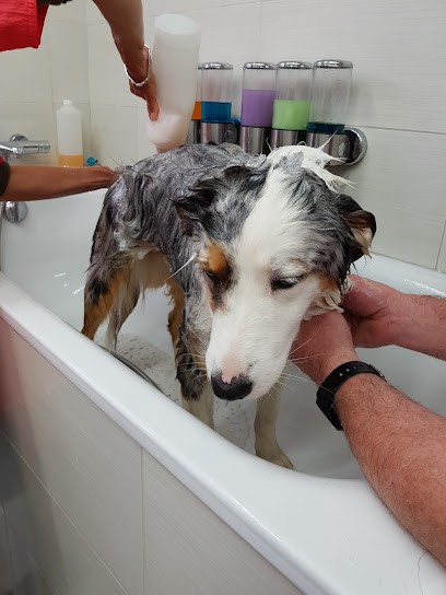 Espace Canin, Toiletteur pour Animaux à Thonon-les-Bains