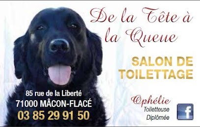 De La Tête à La Queue, Toiletteur pour Animaux à Mâcon