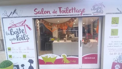 La Boite Aux Poils, Toiletteur pour Animaux à Nice