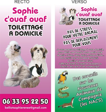 Sophie c'ouaf ouaf, Toiletteur pour Animaux à La Chapelle-des-Marais