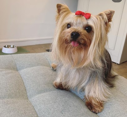 L'Arche De Néo, Toiletteur pour Animaux à Saint-Brevin-les-Pins