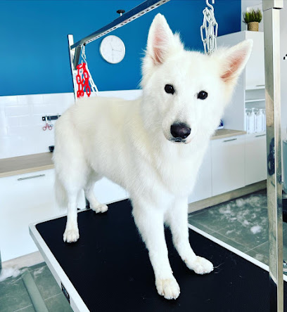 Un Poil D'amour, Toiletteur Pour Animaux à Villemolaque