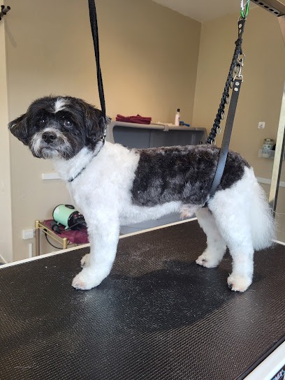 Axelle toilettage, Toiletteur pour Animaux à Volmerange-les-Mines