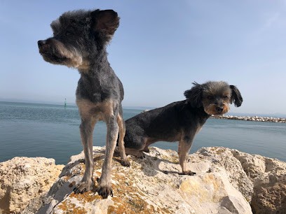 One Toutou, Toiletteur pour Animaux à Martigues