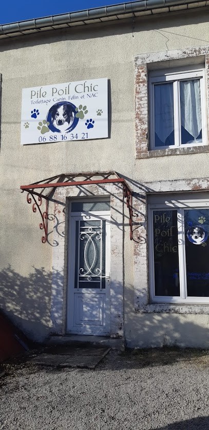 Pile Poil Chic, Toiletteur pour Animaux à Neufchâteau
