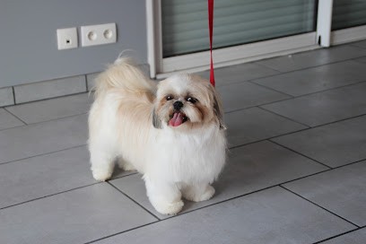 C'Ouaf Toutou, Toiletteur pour Animaux à Savenay