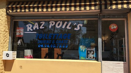 Raz Poil’s, Toiletteur pour Animaux à Saint-Raphaël