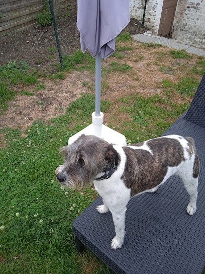 lucky style, Toiletteur pour Animaux à Aulnoye-Aymeries