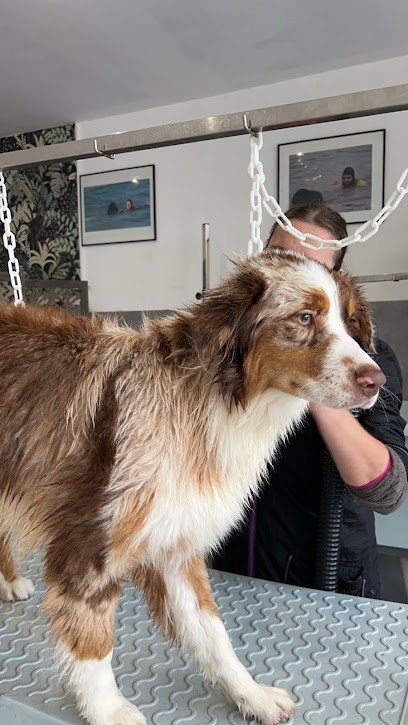 Sweet dog toilettage, Toiletteur pour Animaux à Périers