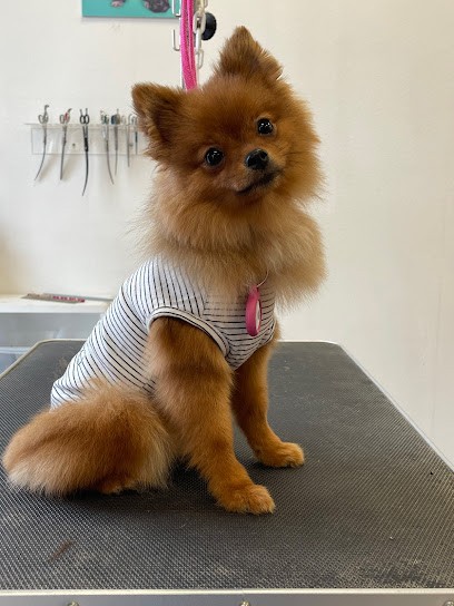 Aux Six Os Canins, Toiletteur pour Animaux à Saint-Barthélemy-d'Anjou