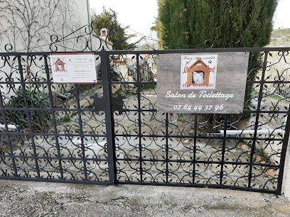 Salon de Toilettage Le Chalet du Toutou, Toiletteur pour Animaux à Marseille 13