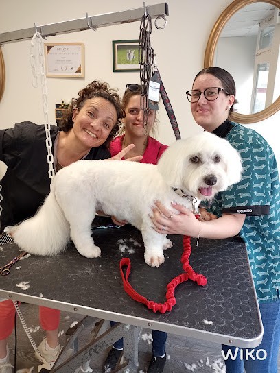 Coup D'Pattes, Toiletteur pour Animaux à Laval