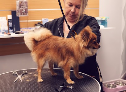 My Doggy Wash, Toiletteur pour Animaux à Lyon 06
