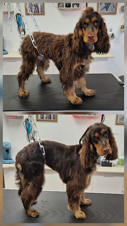 Canibrush Toiletteur Pour Animaux à Louviers