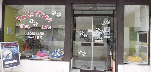 A Dog Is Star - Toilettage Chien Chat Mérignac, Toiletteur pour Animaux à Mérignac