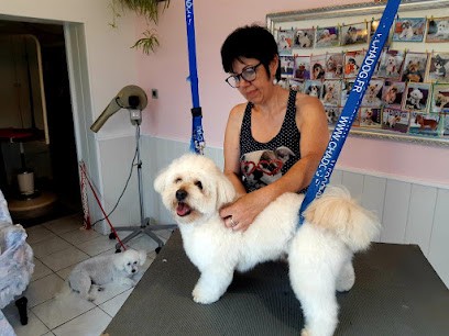 Gueffier Patricia, Toiletteur pour Animaux à Puilboreau