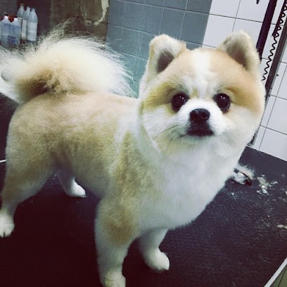 venus toilettage, Toiletteur pour Animaux à Bastia