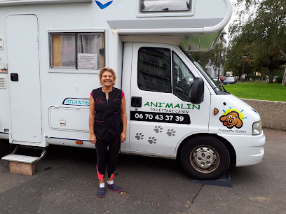 Ani'malin Toiletteur Pour Animaux à Hérouville-Saint-Clair