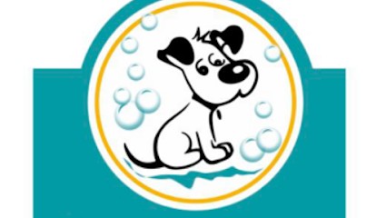 DOUCE HEURE CANINE, Toiletteur pour Animaux à Oloron-Sainte-Marie