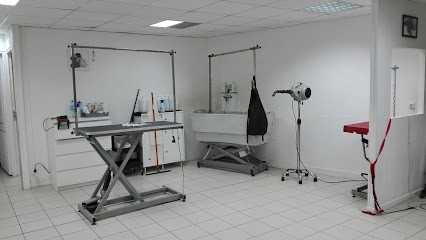 Salon De Toilettage Delphine, Toiletteur pour Animaux à Monchy-Saint-Éloi