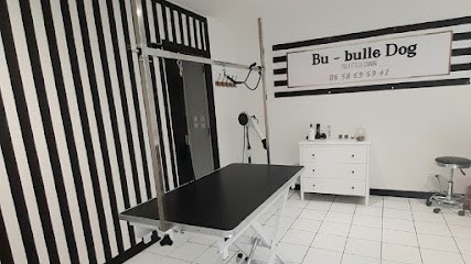 Bu Bulle Dog, Toiletteur pour Animaux à Riom