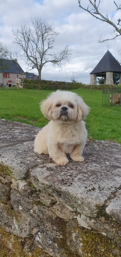 Beau Cabot et Cie, Toiletteur pour Animaux au Faouët