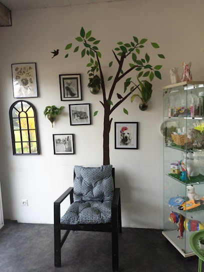 Bull'de poils, Toiletteur pour Animaux à Semblançay