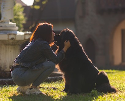 Ressource Canine, Toiletteur pour Animaux à Irigny