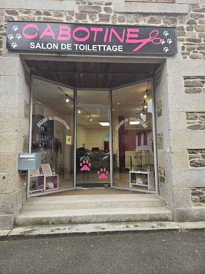 Cabotine, Toiletteur pour Animaux à Fougères