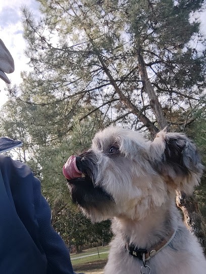 Millat Pascal, Toiletteur pour Animaux à Saint-Vivien-de-Médoc