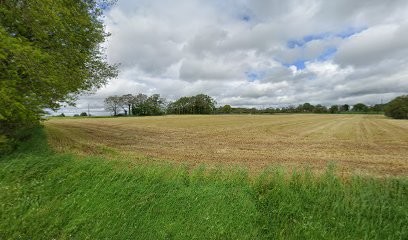 Armorique Toilettage, Toiletteur pour Animaux à Peillac