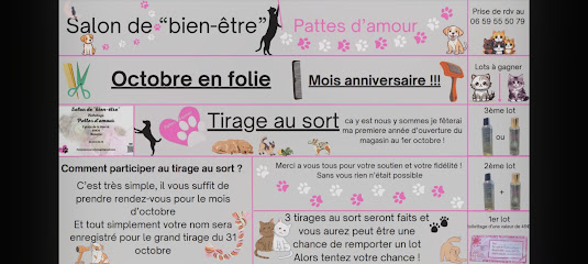 Toilettage Pattes D'amour Toiletteur Pour Animaux à Beaujeu