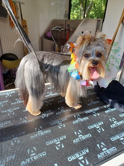 La Patte à Plouf Zen, Toiletteur pour Animaux à Menotey