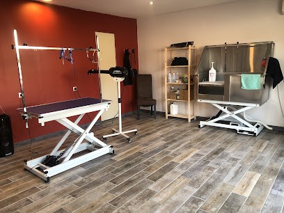 Salon De Toilettage: Amour, Poils & Beauté, Toiletteur pour Animaux à Vieux-Condé