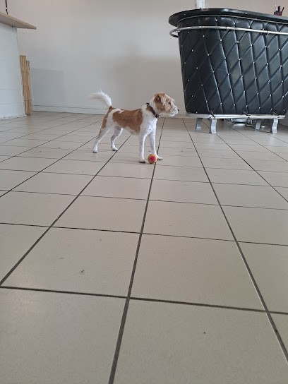 Les ciseaux de Lili en Ré, Toiletteur pour Animaux à Saint-Martin-de-Ré