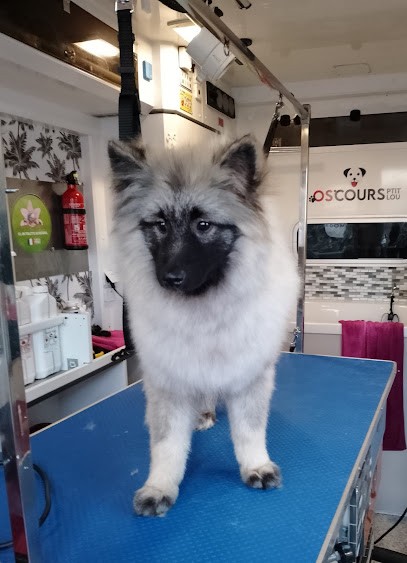 OS'COURS PTIT LOU, Toiletteur pour Animaux à Sainte-Luce-sur-Loire