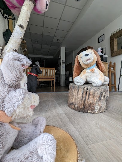 une histoire de chiens, Toiletteur pour Animaux à Vervins