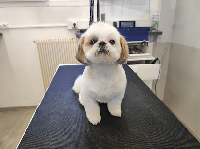 Lovely Dog, Toiletteur pour Animaux à Ermont