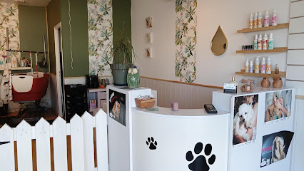 Les Animaux Chics Toiletteur Pour Animaux à Villenave-d'Ornon