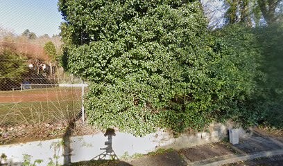 B And Co Services, Toiletteur pour Animaux à Vauréal