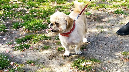 Salon De Toilettage I Love My Dog, Toiletteur pour Animaux à Waben
