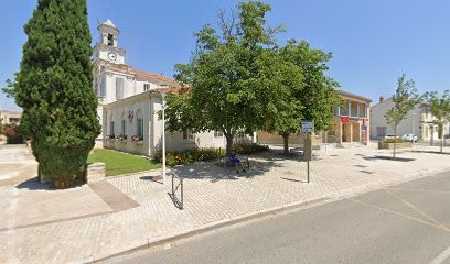 Sonia Toilettage, Toiletteur pour Animaux à Saint-Martin-de-Crau