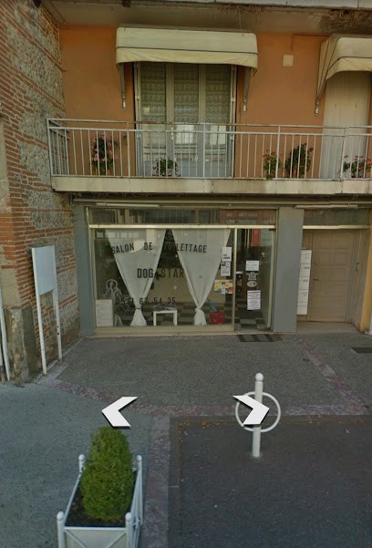 Dog Star, Toiletteur pour Animaux à Saverdun