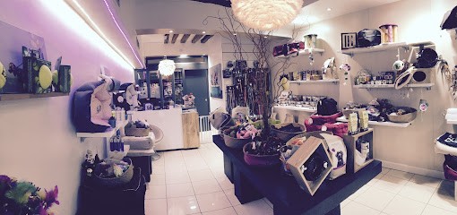 Au Comptoir Des Quatre Pattes, Toiletteur pour Animaux à Paris 16