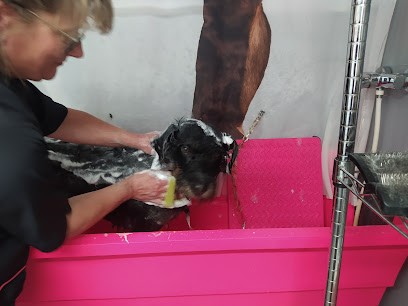 VIRGINIE TOILETTAGE, Toiletteur pour Animaux à Saint-Carné