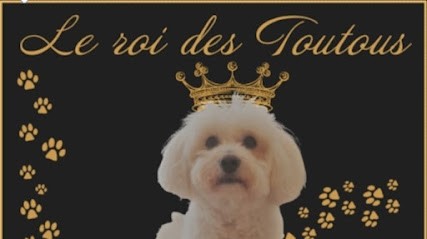 Le Roi Des Toutous, Toiletteur pour Animaux à Noisy-le-Roi