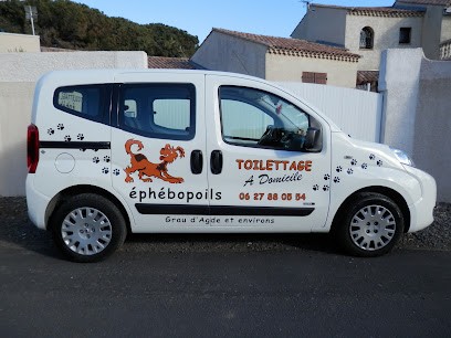 Ephebopoils, Toiletteur pour Animaux à Agde