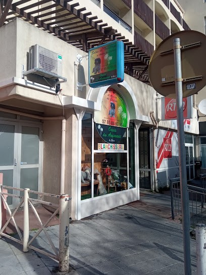 Oasis Des Animaux, Toiletteur pour Animaux à Agde